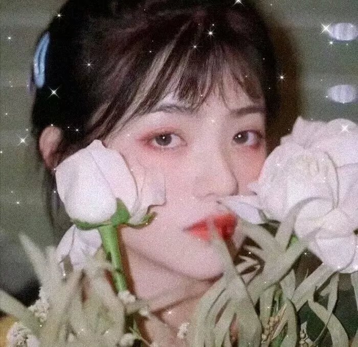 梦女孩