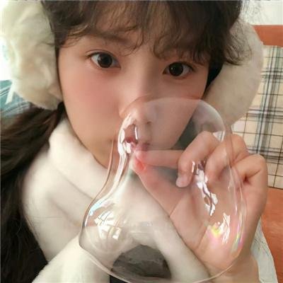 蒂科与鲨鱼