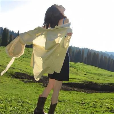 师父又掉线了